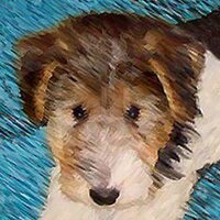 Eva Kir (@eva_kir) 's Twitter Profile Photo