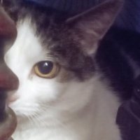 Adam Bateman (@adambat92308251) 's Twitter Profile