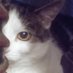 Adam Bateman (@adambat92308251) Twitter profile photo Adam Bateman (@adambat92308251) Twitter profile photo