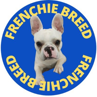 FrenchieBreed's profile picture. Frenchie Breed's blog - News and Tips You Need to Jump On!
Follow us 🐾