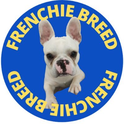 Frenchie Breed's blog - News and Tips You Need to Jump On!
Follow us 🐾