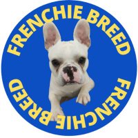 Frenchie Breed - Your dog blog(@FrenchieBreed) 's Twitter Profile Photo