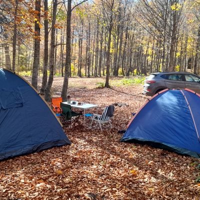 alengin444's profile picture. Dentist 94..sevgi_saygı....ne ekersen onu biçersin....ne mutlu Türk üm diyene..göcekk...trekking...