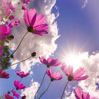 بصمات لاتُنسى (@hano0000hano) 's Twitter Profile