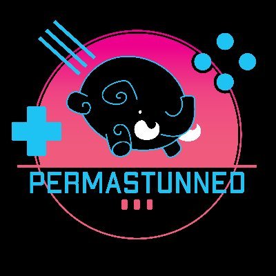 We are the only Esports organization in the world where all players are disabled. We fight for inclusion. For business inquiries: permastunnedgaming@gmail.com