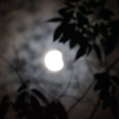 junghyeon9066's profile picture. 집은 사는 곳. 짧더라도 가족여행 한번 가보는 것이 꿈인 하층 소시민.
법은 약자의 편에 서야한다.
똑똑한 사람보다 따뜻한 사람이고 싶다.
비굴해지긴 싫어 그냥 손해보고 말래.