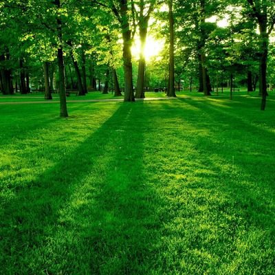 brokhanye's profile picture. Repentance