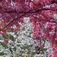 🇨🇵🇨🇵🇨🇵 Del 🇨🇵🇨🇵🇨🇵 (@del68217343) 's Twitter Profile Photo 🇨🇵🇨🇵🇨🇵 Del 🇨🇵🇨🇵🇨🇵 (@del68217343) 's Twitter Profile Photo