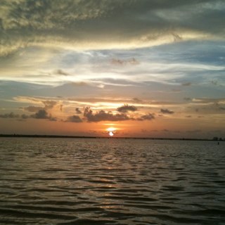 lphillips71's profile picture. Mom to the most amazing kids (Liv & Nick), wife, & special ed. teacher.