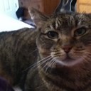 sarah oakley - @SallyCrouse - Twitter