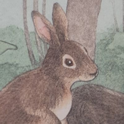 government mandated crocsさんのプロフィール画像