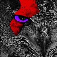 Shayne Static (@shaynestatic) 's Twitter Profile