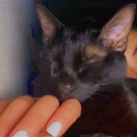 M🍉 (@_uhhwhat) 's Twitter Profile