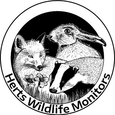 We are committed to saving wildlife and protecting its habitat in Hertfordshire & surrounding areas.  One of our main aims is to combat persecution!