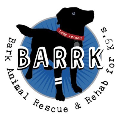 saving one dog won't change the world, but for that one dog the world will change forever.
IG @ barrkli | DONATE WITH VENMO @ barrkli | ADOPT @ https://t.co/OesDBmdQnP