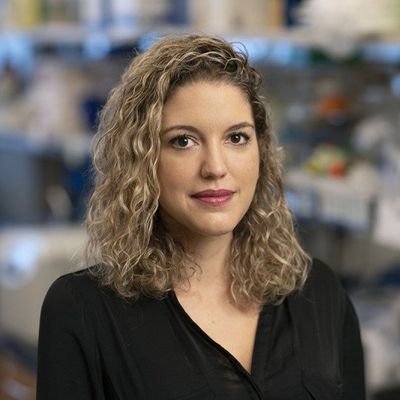 Multi-disciplinary scientist and arts enthusiast!
⛳postdoc@MSKCC @sloan_kettering, @hellerlab
🎓PhD: ETH Zurich @eth_en @dimospoulikakos
