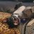 KennethG79's profile image