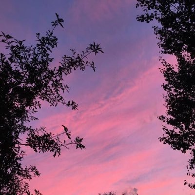 Top10Xaz's profile picture. 