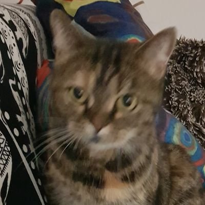 gegele80's profile picture. des petits rien et la vie est belle !! 💖