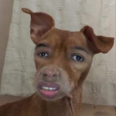 bbinoculars's profile picture. Cowboys. Braves. Dawgs. NC Born and Raised.