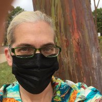 Liz Adams (@lizadamsinmass) 's Twitter Profile