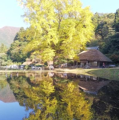 懸賞好き。
当選品は掲載しております。
RTのRT気にしません。
柔術以外の怪我しづらい趣味を探し中。。
#zbn01241当選報告