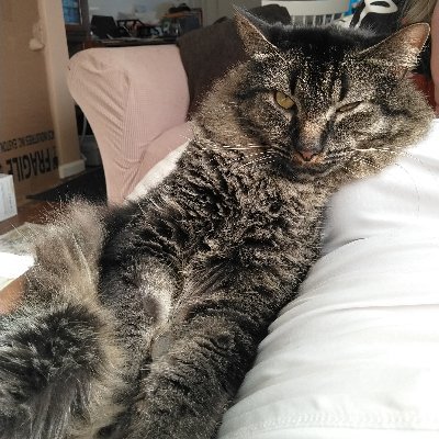 ShoeGoddessQ's profile picture. Proud Firefighter's Daughter  🔥 Fire safety education & planning...🧯Small business owner. 👠Shoe therapy keeps me sane, and wine, lots of🍷