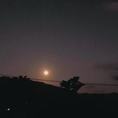 _virtualrecluse's profile picture. poetry. I love poetry