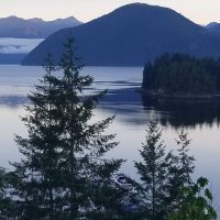 Dan ain't Q (@dan6654) 's Twitter Profile