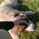 Alyssa |BLM|ACAB| - @AlyssaKuphal - Twitter