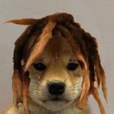 LaVaca151's profile picture. 