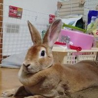 横山雄洋 (@ofpjhlthct4kzxg) 's Twitter Profile Photo