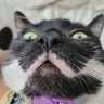 RamonaVerse's profile picture. WANTED IN 37 COUNTRIES | WELCOME 2 MY WORLD BITCH