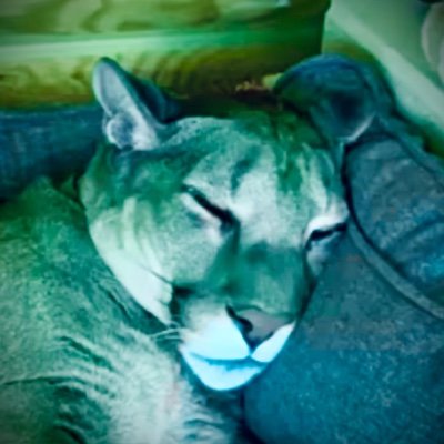 jiminico's profile picture. …systemic conflicts of interest are still collectively denied! 🤷🏼‍♂️