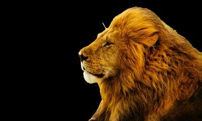 AnyashLimbachi1's profile picture. Seaport mi 😏