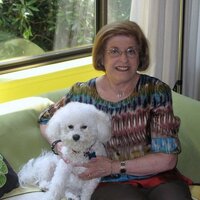 Phyllis Blackman - @Phyllisgreenw Twitter Profile Photo