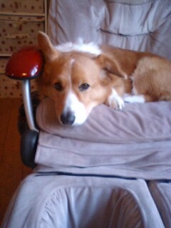 BackintheUSAMom's profile picture. 