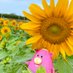 読谷村観光協会(kiroroの出身地)@沖縄県 (@yomikan1) Twitter profile photo 読谷村観光協会(kiroroの出身地)@沖縄県 (@yomikan1) Twitter profile photo