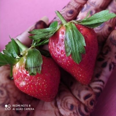 عودتني عليك ، لا تعودني اكون بدونك🌼
( الخاص بلوك 🚫 )