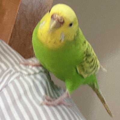 なとreさんのプロフィール画像
