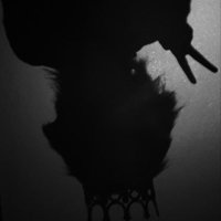 fae is tired (@faeisa_) 's Twitter Profile