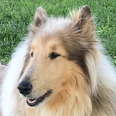 CaraD10's profile picture. 