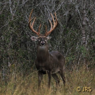 Hunter. Rancher. Texan.