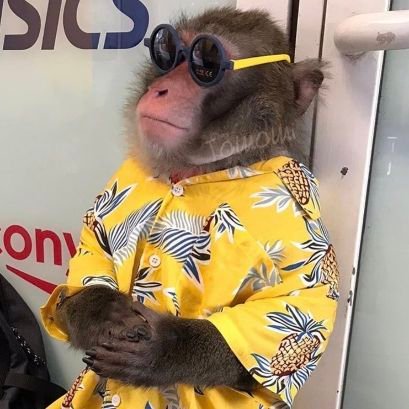 shawtywanaparty's profile picture. 