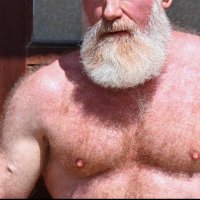 HairyGingerDad (57k)(@HairyGingerDad1) 's Twitter Profileg