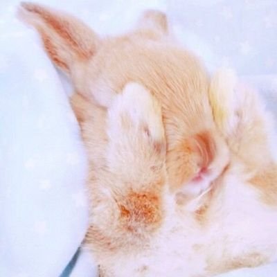 위성 ⚡⚡⚡さんのプロフィール画像