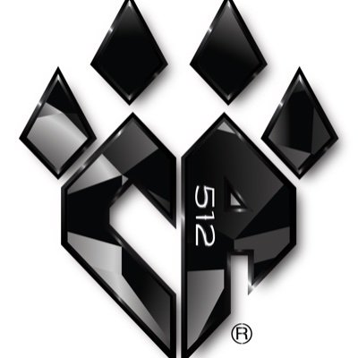 Cheer Athletics Austin Profile
