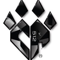 Cheer Athletics Austin (@ca_austintx) 's Twitter Profile