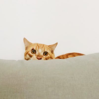 znzulaimyta's profile picture. kalau emang tidak ada yang bisa dimantu, mungkin ada yang bisa saya bantu?