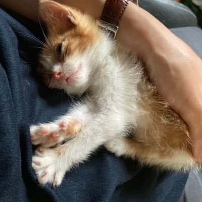 pojWUVkGP3X2KGJ's profile picture. 眼科医